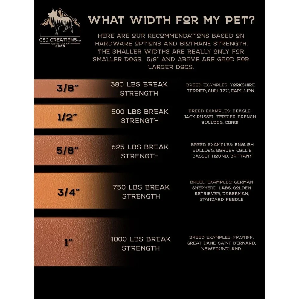 5.5’ Biothane Deluxe Slip Dog Leash - 5/8
